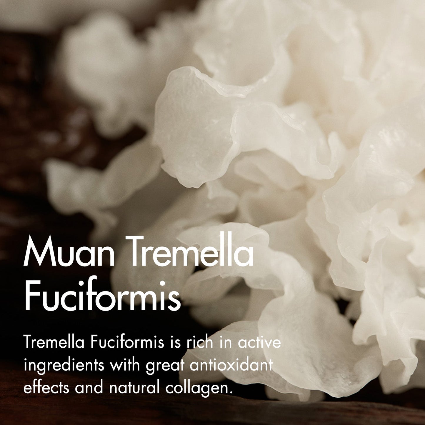 I'm From Mushroom Collagen Ampoule