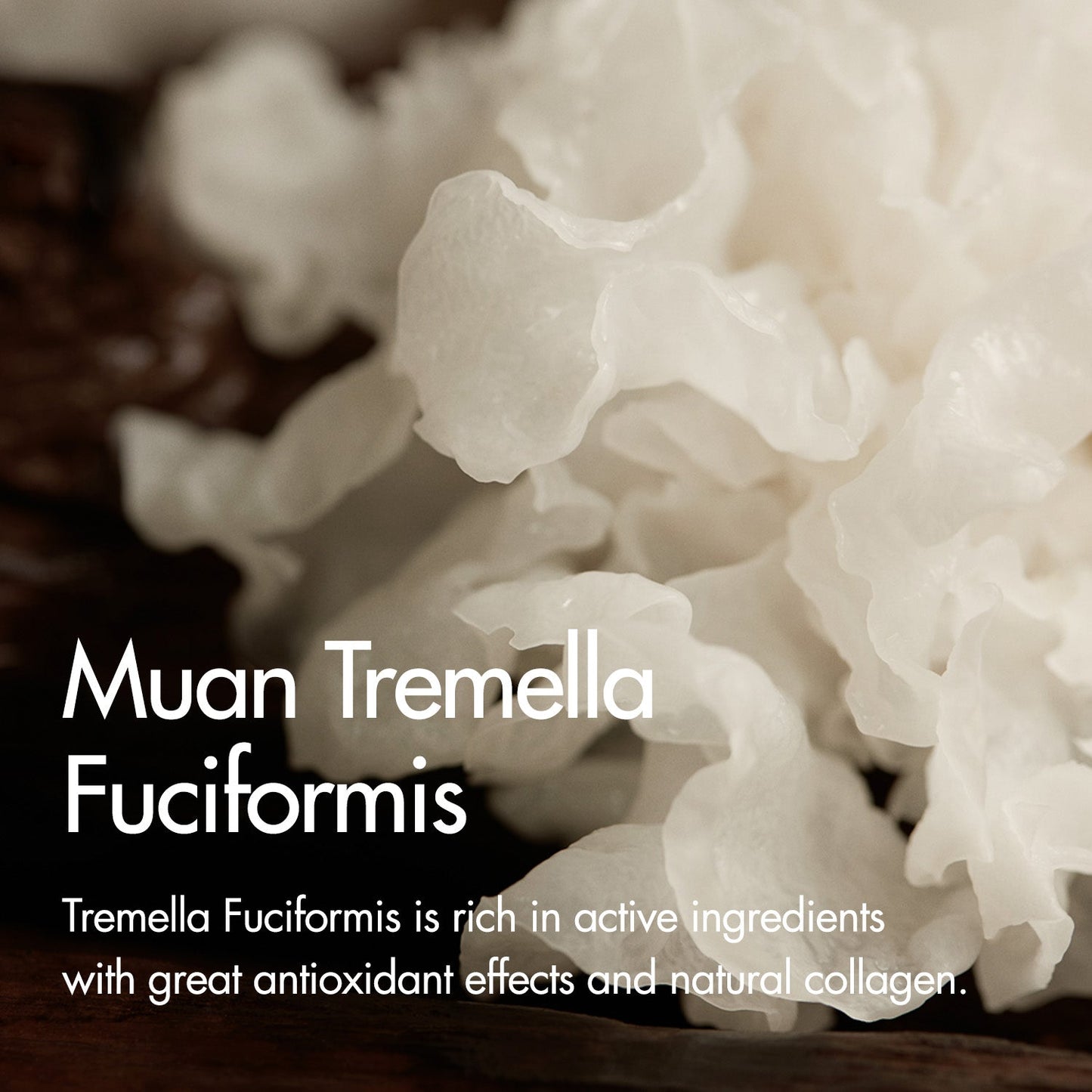 I'm From Mushroom Collagen Cream