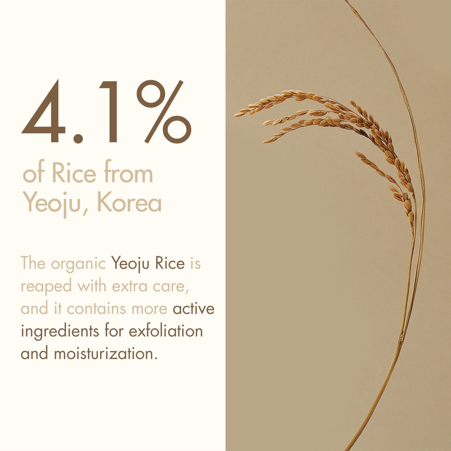 I'm From Rice Mask Mini