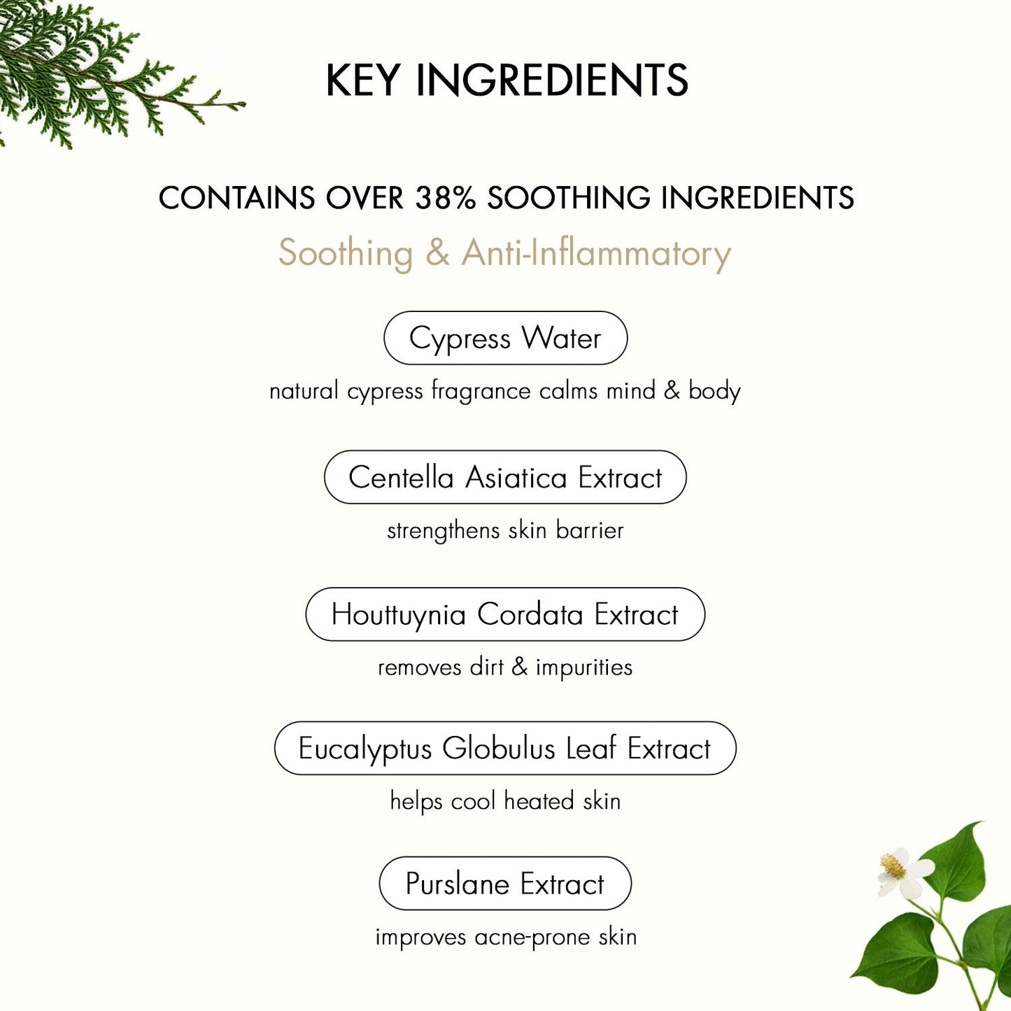 Tage Calming Suncream In Cyprest