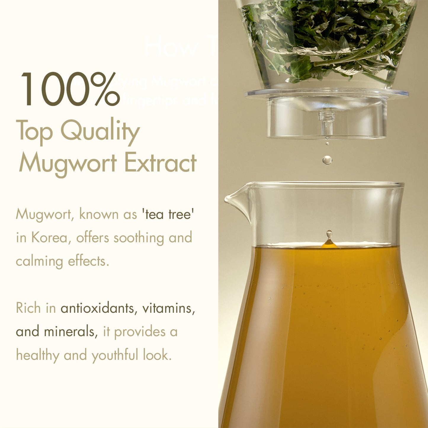 I'm From Mugwort Essence Mini