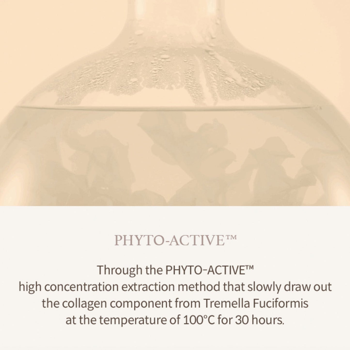 I'm From Mushroom Collagen Ampoule