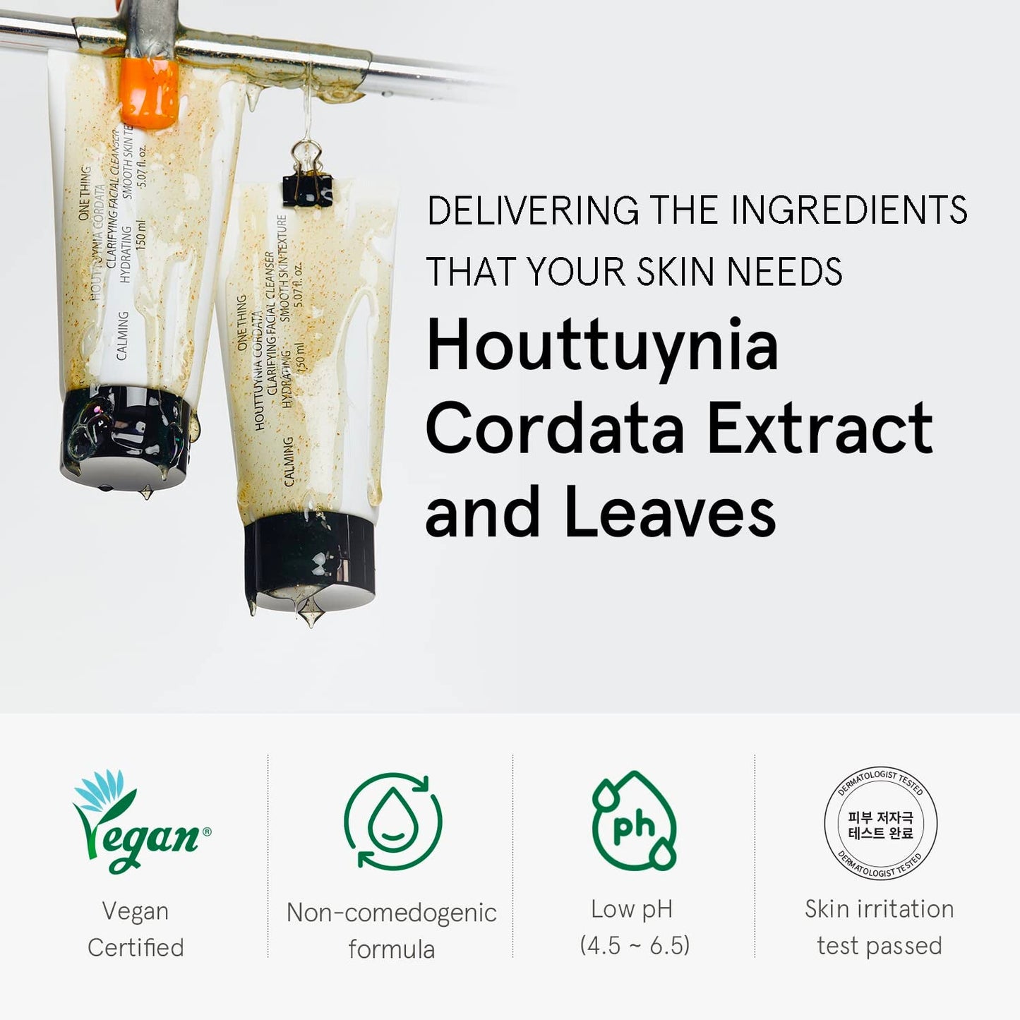 One Thing Houttuynia Cordata Clarifying Facial Cleanser