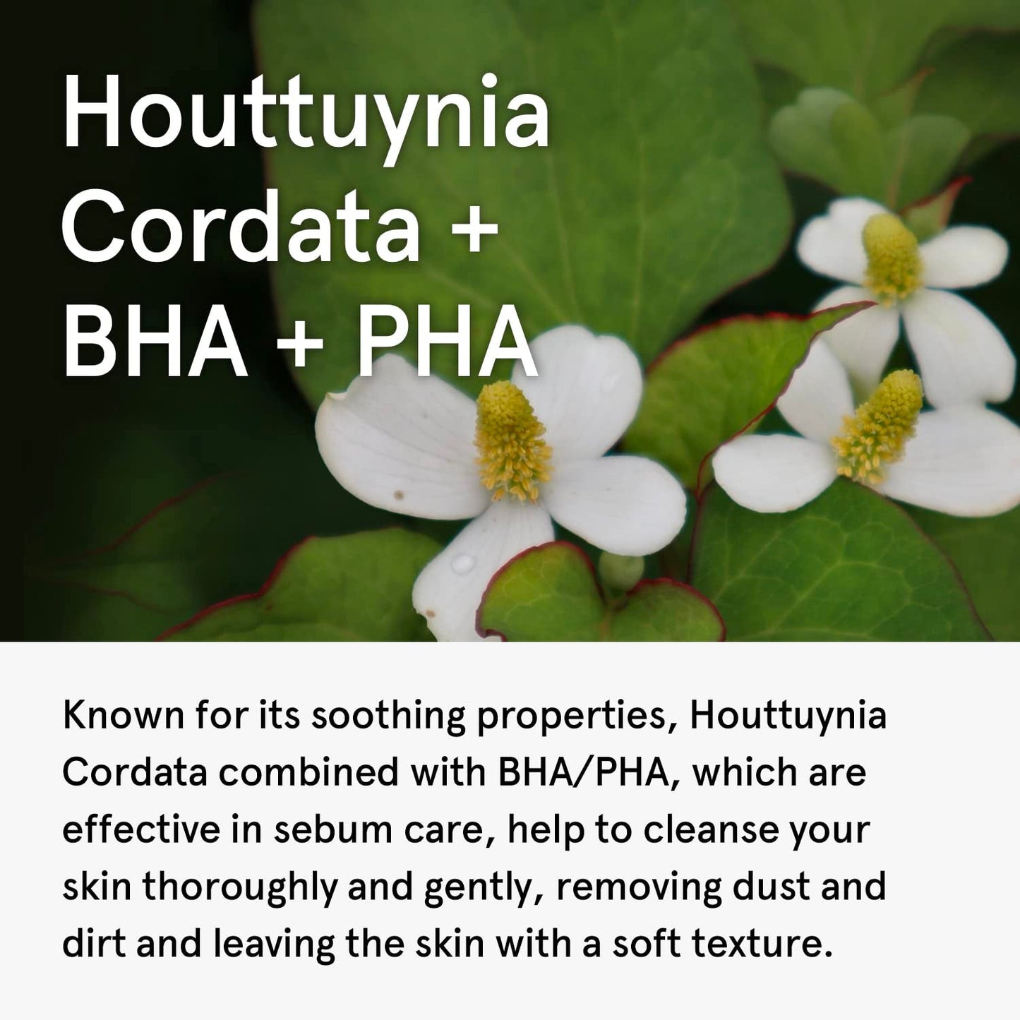One Thing Houttuynia Cordata Clarifying Facial Cleanser