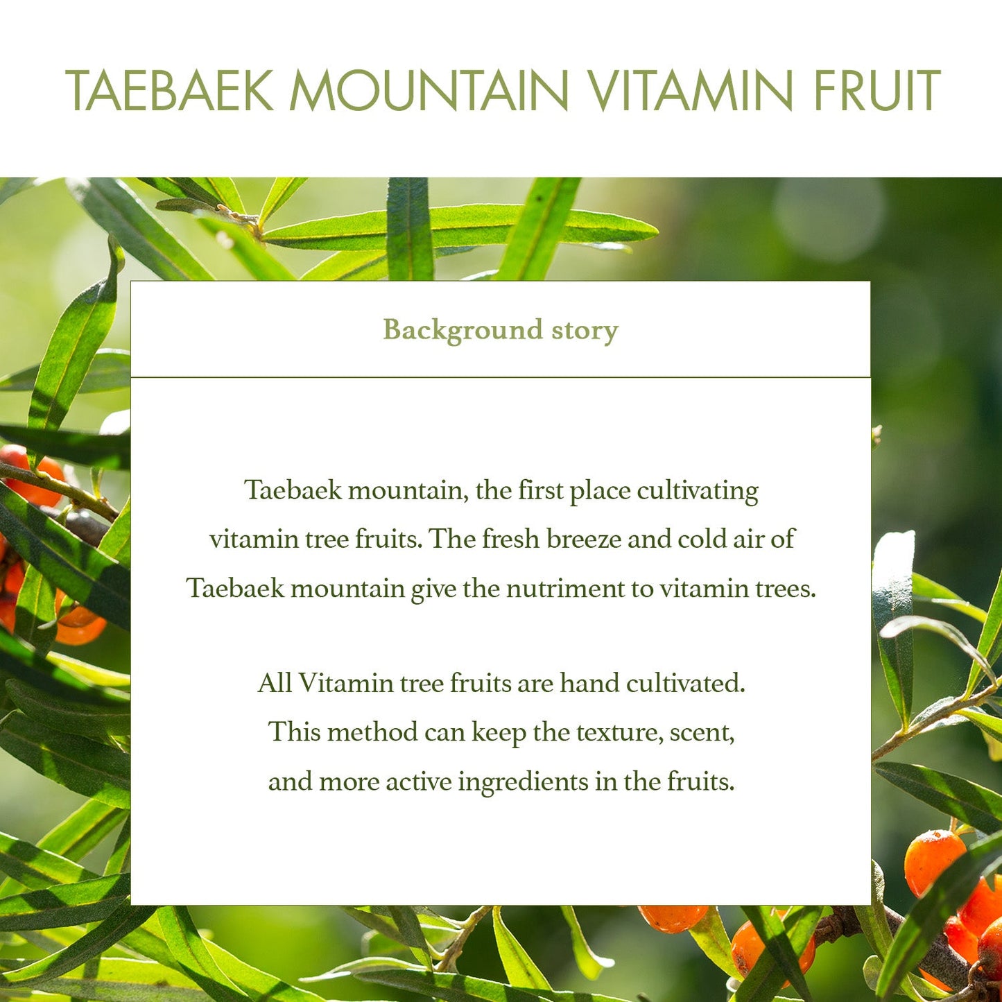 I'm From Vitamin Fruit Serum